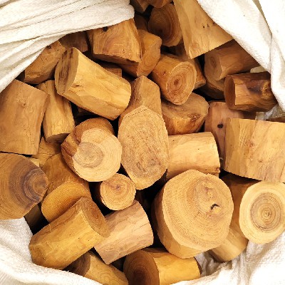 Western Australian sandalwood segment (peeled and withered wood)