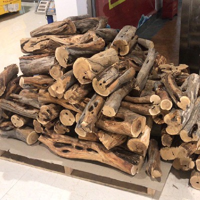 Dry wood section in Western Australia