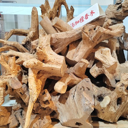 Tongan Sandalwood Section
