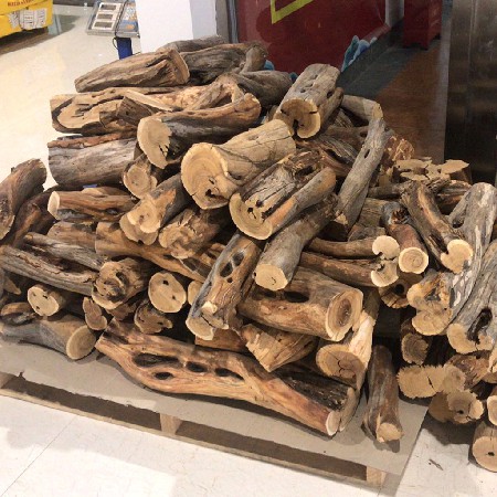 Dry wood section in Western Australia